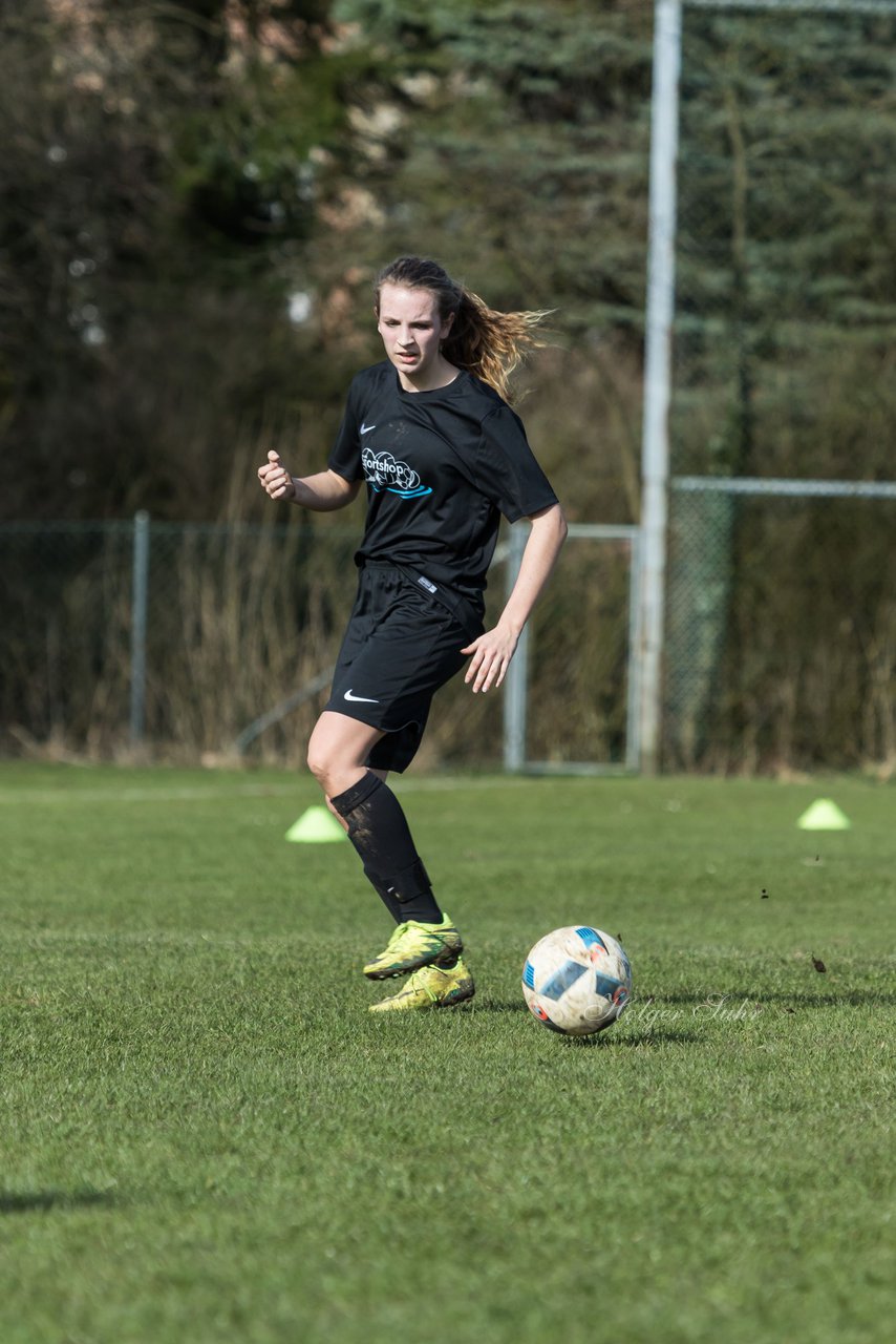 Bild 252 - C-Juniorinnen SV Steinhorst/Labenz - TSV Friedrichsberg-Busdorf : Ergebnis: 5:0